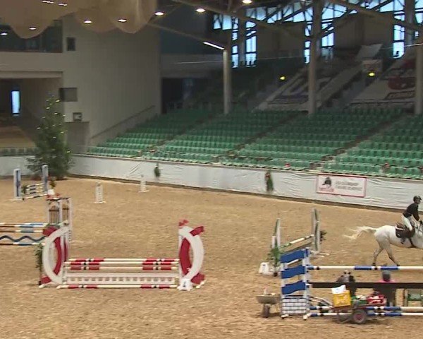 Reitturnier Kreuth/Opf. 2024