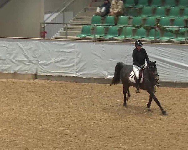 Reitturnier Kreuth/Opf. 2024