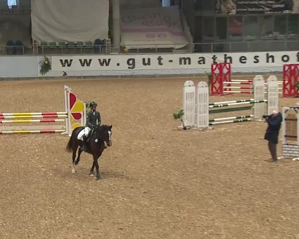 Reitturnier Kreuth/Opf. 2024