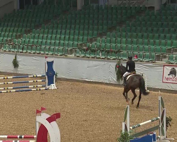 Reitturnier Kreuth/Opf. 2024