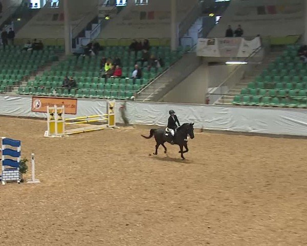 Reitturnier Kreuth/Opf. 2024