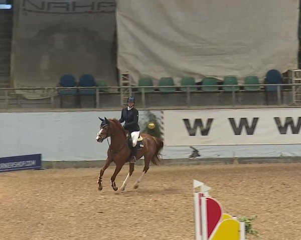 Reitturnier Kreuth/Opf. 2024