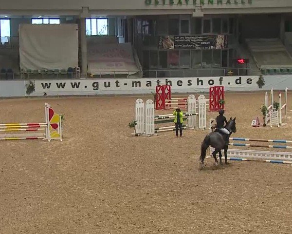 Reitturnier Kreuth/Opf. 2024