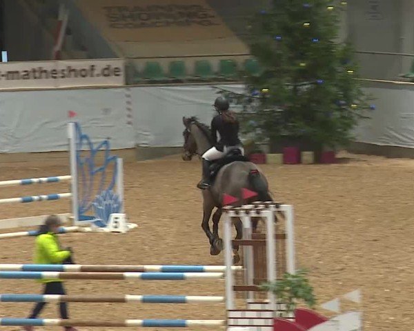 Reitturnier Kreuth/Opf. 2024