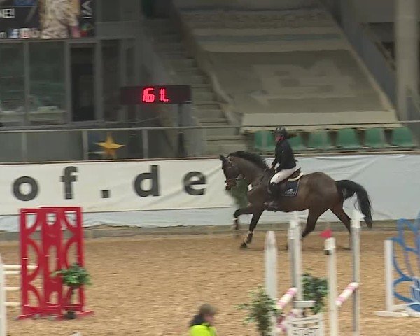 Reitturnier Kreuth/Opf. 2024