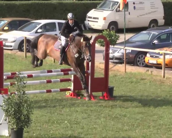 Radolfzell 2013 - Reit- und Springturnier des RC Bodenseereiter