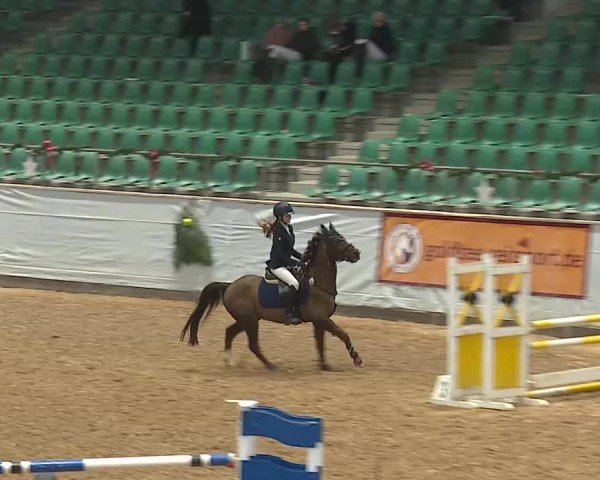 Reitturnier Kreuth/Opf. 2024