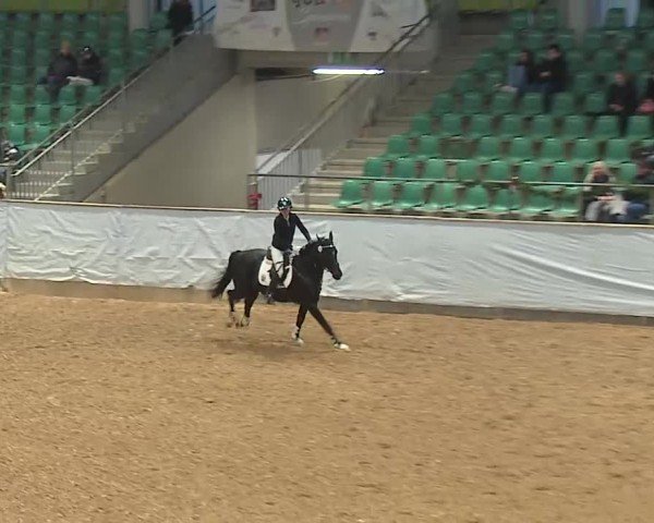 Reitturnier Kreuth/Opf. 2024