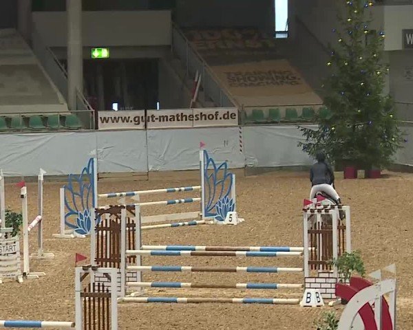 Reitturnier Kreuth/Opf. 2024