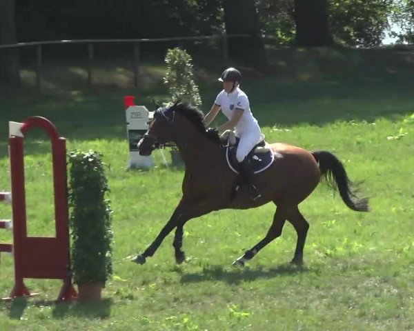 Radolfzell 2013 - Reit- und Springturnier des RC Bodenseereiter