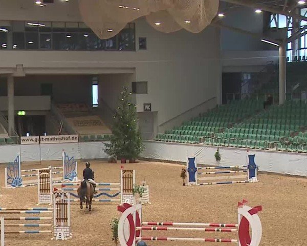 Reitturnier Kreuth/Opf. 2024