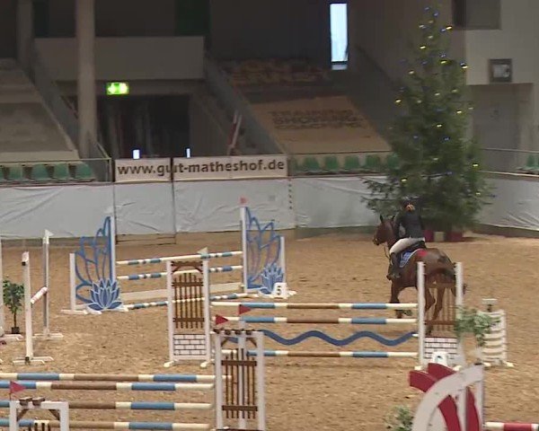 Reitturnier Kreuth/Opf. 2024