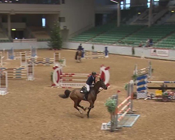 Reitturnier Kreuth/Opf. 2024