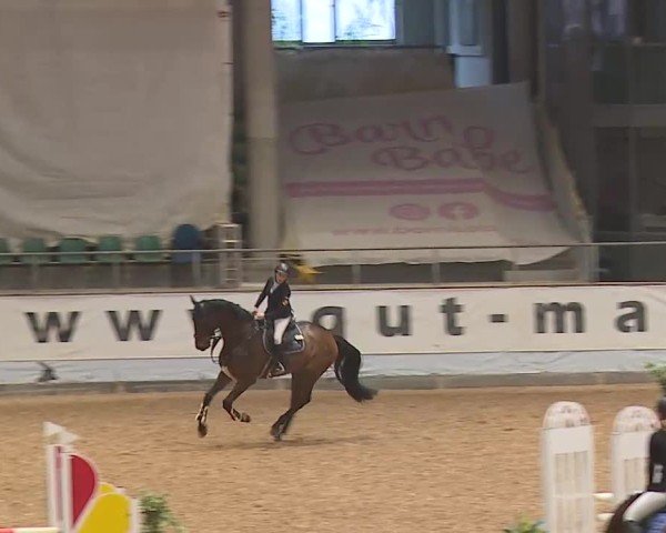 Reitturnier Kreuth/Opf. 2024