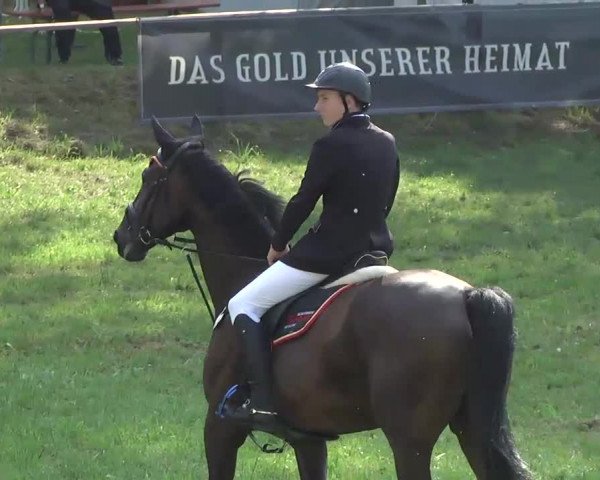 Radolfzell 2013 - Reit- und Springturnier des RC Bodenseereiter