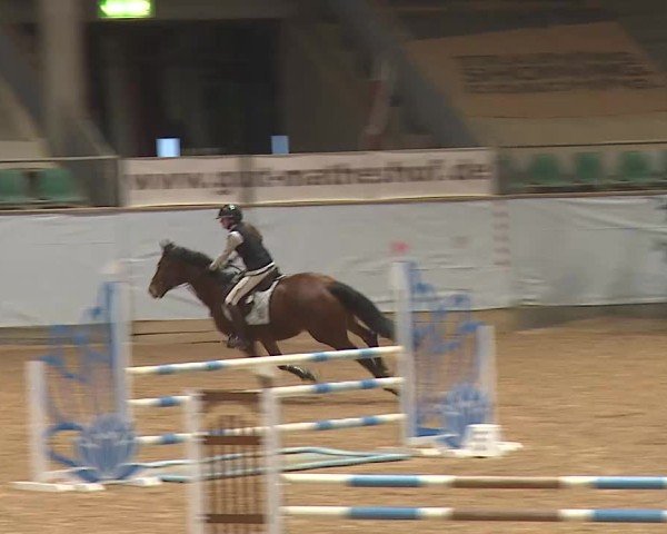 Reitturnier Kreuth/Opf. 2024