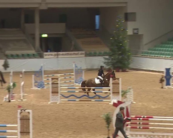 Reitturnier Kreuth/Opf. 2024