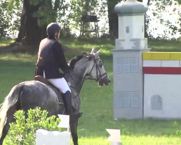 Radolfzell 2013 - Reit- und Springturnier des RC Bodenseereiter