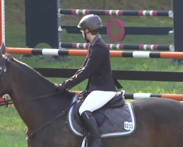 Radolfzell 2013 - Reit- und Springturnier des RC Bodenseereiter