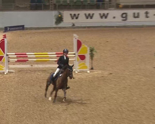 Reitturnier Kreuth/Opf. 2024