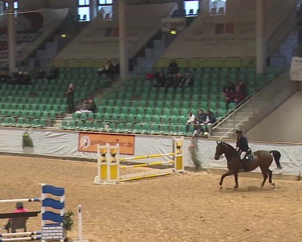Reitturnier Kreuth/Opf. 2024