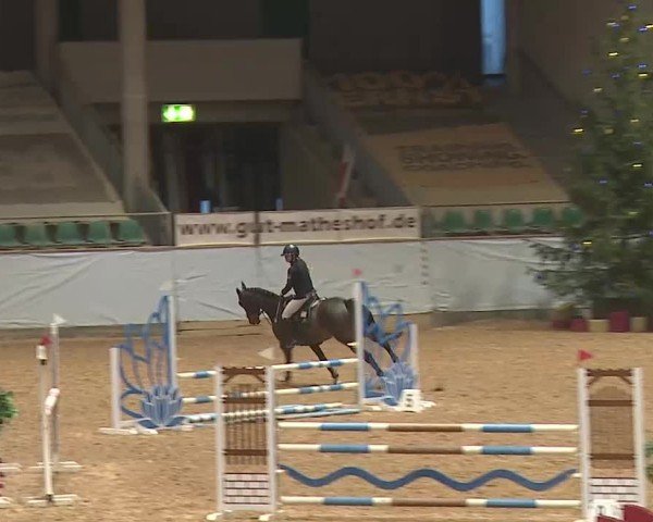 Reitturnier Kreuth/Opf. 2024