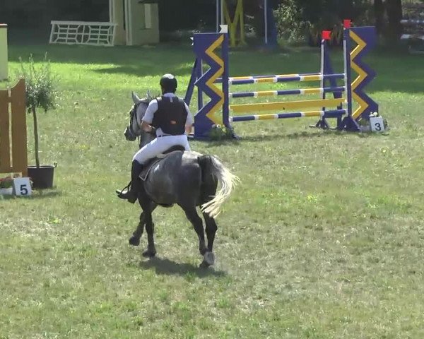 Radolfzell 2013 - Reit- und Springturnier des RC Bodenseereiter