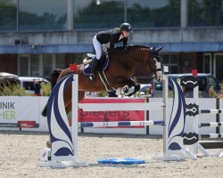 jumper Katara R (Holsteiner, 2017, from Million Dollar)