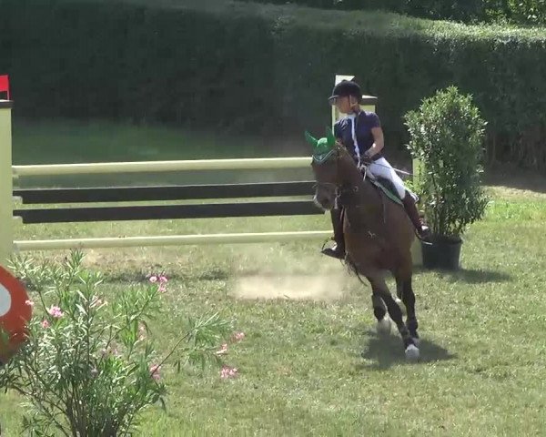 Radolfzell 2013 - Reit- und Springturnier des RC Bodenseereiter