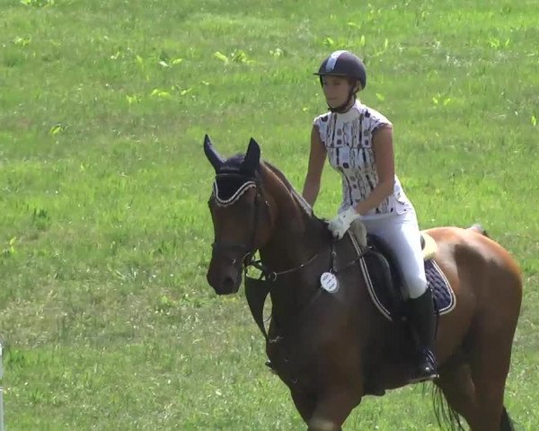 Radolfzell 2013 - Reit- und Springturnier des RC Bodenseereiter