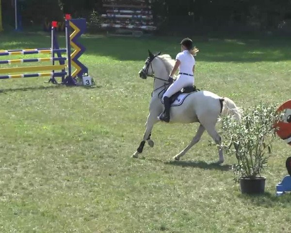 Radolfzell 2013 - Reit- und Springturnier des RC Bodenseereiter