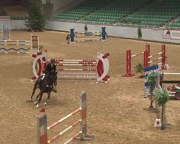 Reitturnier Kreuth/Opf. 2024