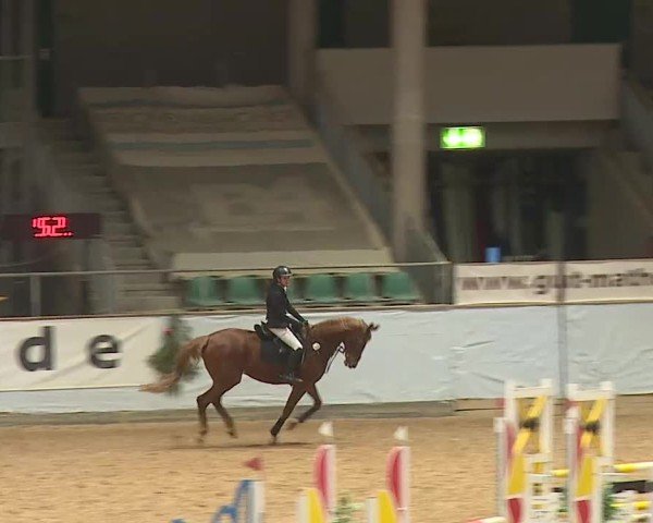 Reitturnier Kreuth/Opf. 2024