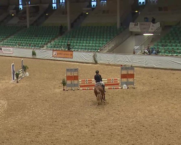 Reitturnier Kreuth/Opf. 2024