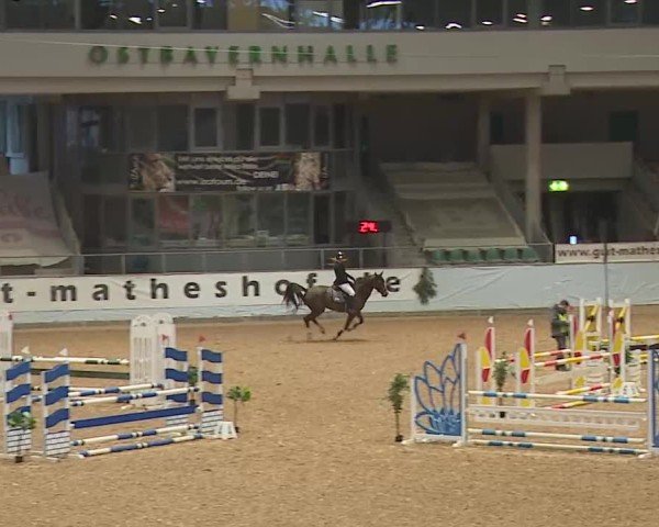 Reitturnier Kreuth/Opf. 2024
