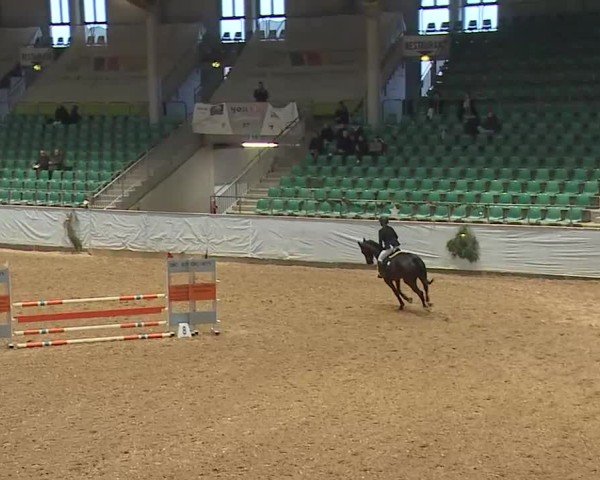 Reitturnier Kreuth/Opf. 2024
