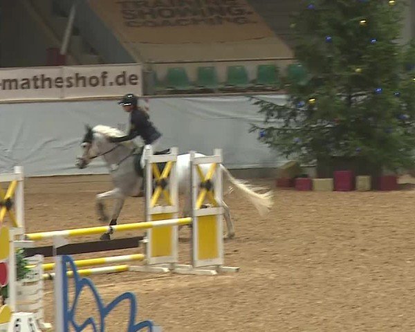 Reitturnier Kreuth/Opf. 2024