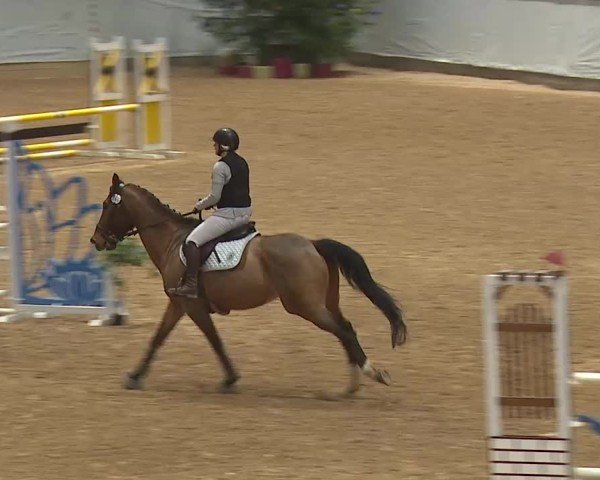 Reitturnier Kreuth/Opf. 2024