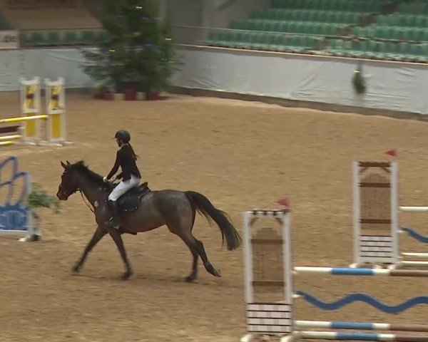 Reitturnier Kreuth/Opf. 2024