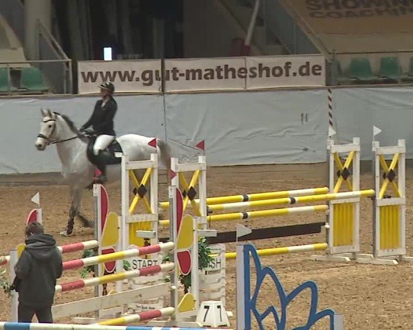 Reitturnier Kreuth/Opf. 2024