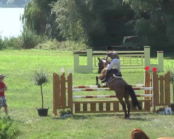 Radolfzell 2013 - Reit- und Springturnier des RC Bodenseereiter
