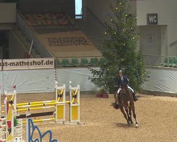 Reitturnier Kreuth/Opf. 2024
