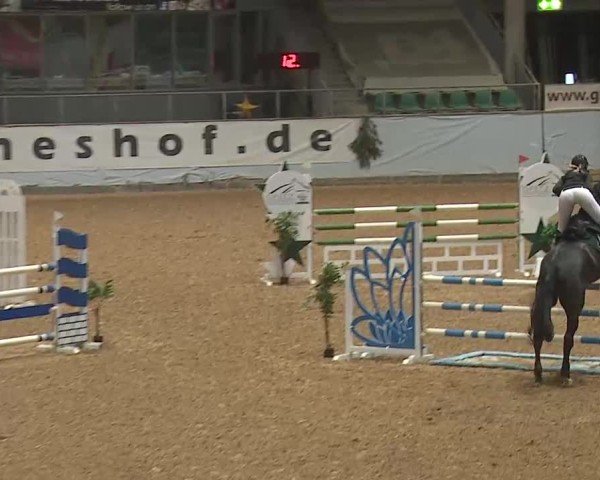 Reitturnier Kreuth/Opf. 2024