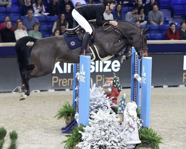 Springpferd Greta du Theil (Selle Français, 2016, von Urano de Cartigny)