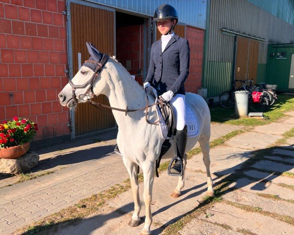 dressage horse Amber 155 (German Riding Pony, 2008, from Nuts)