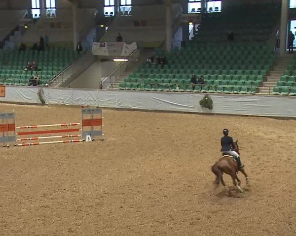 Reitturnier Kreuth/Opf. 2024