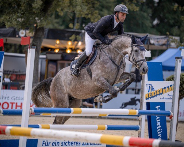 Pferd Contagia van Alfen (Westfale, 2020, von Contagio)