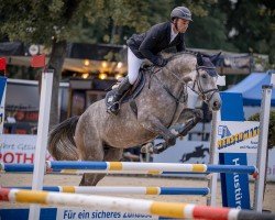 horse Contagia van Alfen (Westphalian, 2020, from Contagio)