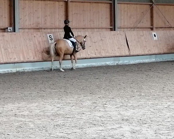 Video von Sissi 852