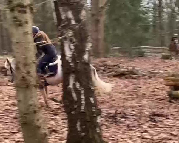 Video of Sissi 852